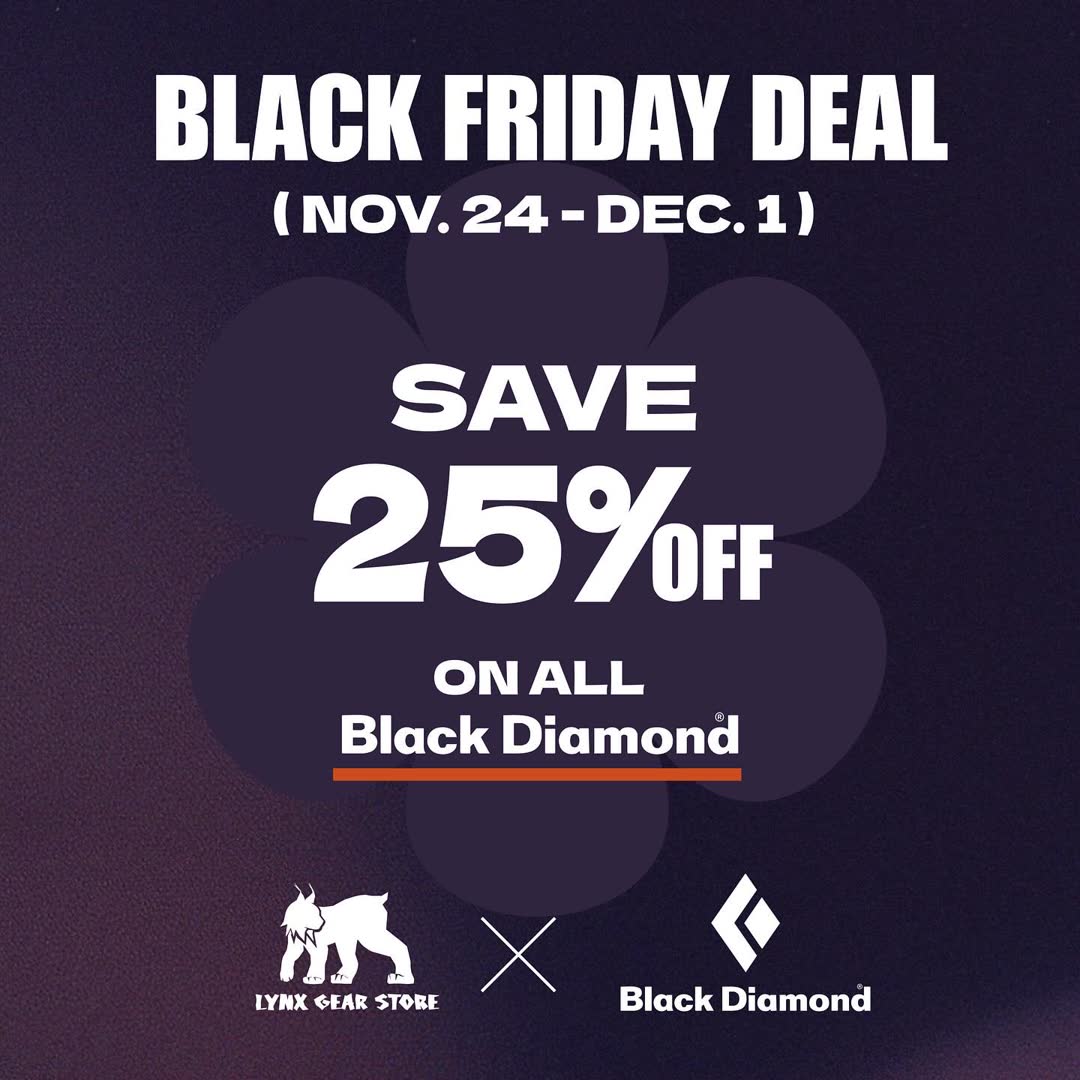 Black Friday deal campaign poster